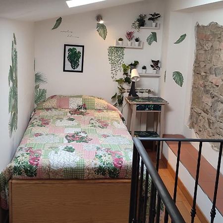 La Casina Via Degli Dei Apartment San Piero a Sieve Luaran gambar